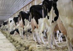 A private member’s bill that wants to take supply management off the trade table is at the centre of attention in Ottawa.