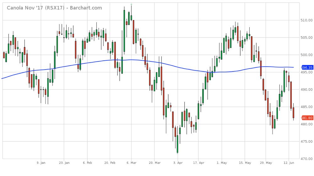ICE weekly outlook: Canola looks to stay below $500