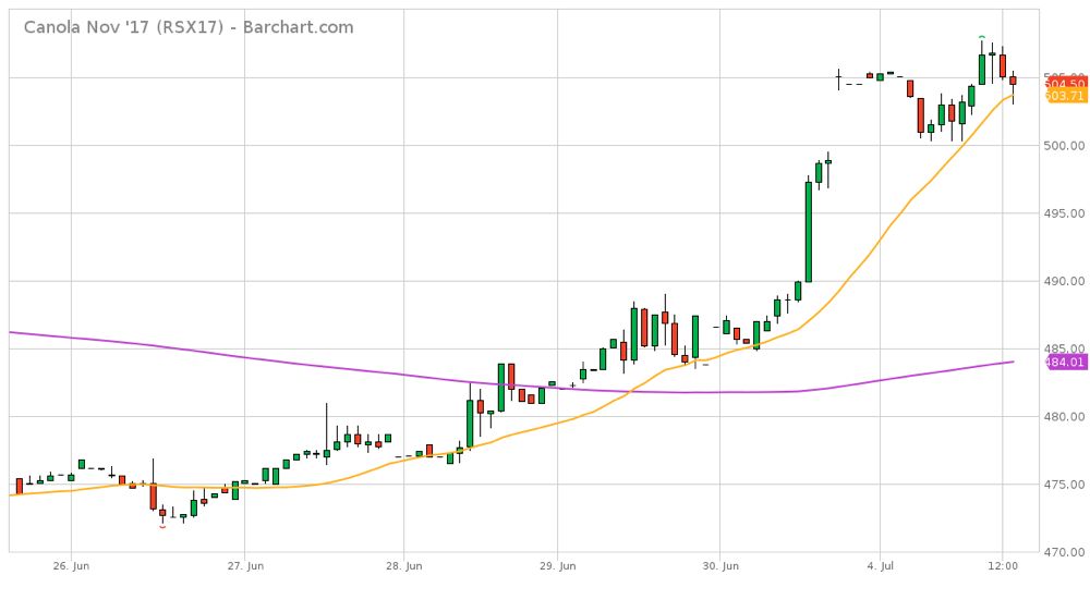 Canola climbs from bottom to top of chart in week