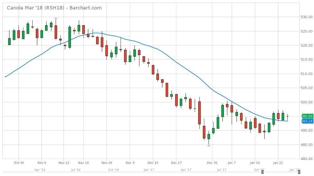 ICE weekly outlook: Canola creeps toward $500