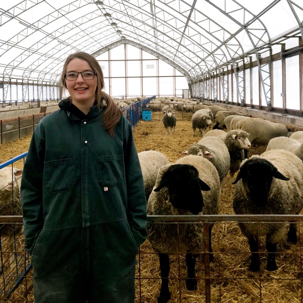 Emma Francis is enrolled in the current Specialized High Skills Major in agriculture at Mitchell District High School and is doing her co-op placement at a sheep farm.   Photo: Courtesy Sandi Brock