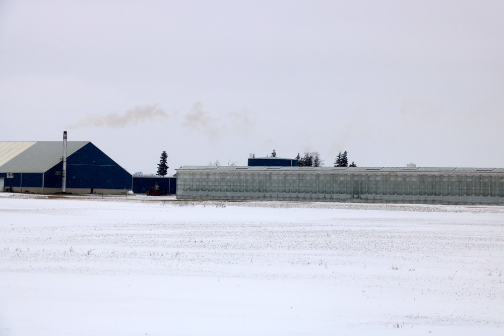 Huron Produce’s Exeter operation has expanded significantly since it was created in the early 1990s, including the addition of a biomass processing operation.  Photo: John Greig
