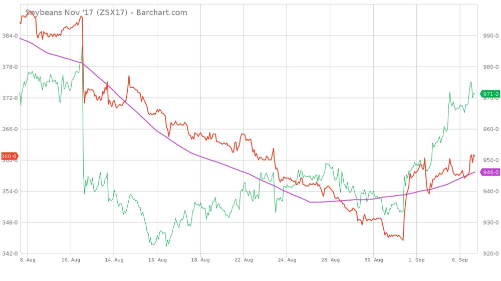 CBOT weekly outlook; Corn, soybeans holding above support
