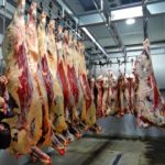 Dirty animals coming into a slaughter plant continue to post food safety risks.