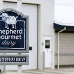 Shepherd Gourmet Dairy has filled niche markets for sheep’s milk products and Skyr yogurt.
