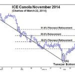 ICE canola, November 2014, as of March 22. (Barchart.com)