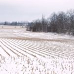 The snow covering this field of corn stubble on Tuesday (April 15) is now mostly gone. (Ralph Pearce photo)