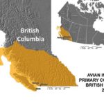 (Inspection.gc.ca)