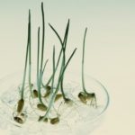 Photo: Thinkstock