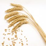 Photo: iStock