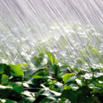 Photo: iStock