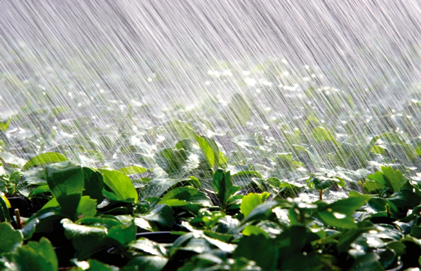 Photo: iStock
