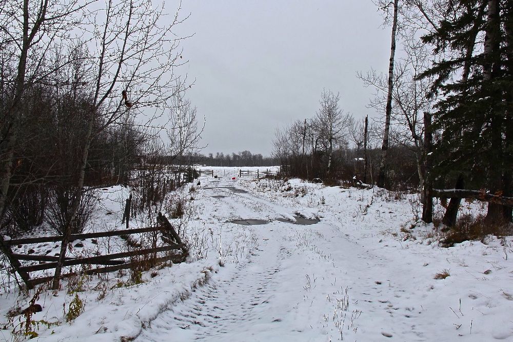 Saskatchewan snowpack points to belownormal runoff Farmtario