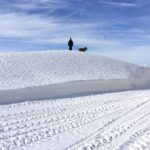 Southeastern Saskatchewan’s accumulated snowpack, as shown here east of Weyburn on March 9, i expected to lead to above-normal runoff in the area. (Leeann Minogue photo)