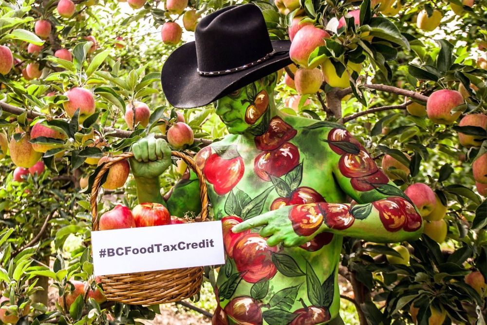 B.C. Agriculture Minister Norm Letnick, shown here last October promoting the province’s income tax credit for farmers donating agricultural products to registered charities, held his Kelowna riding in the provincial election Tuesday night. (Gov.bc.ca)
