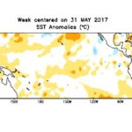 Sea surface temperature anomalies over the Pacific for the week centred on May 31. (CPC.ncep.noaa.gov)
