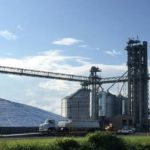 Lansing Trade Group’s elevator at Delhi, Louisiana, about 220 km east of Shreveport. (LansingTradeGroup.com)