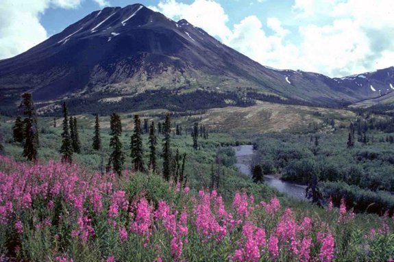 Photo: Government of Yukon.
