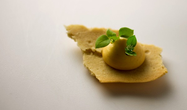 Pâte sucrée with spiced butternut squash mousse and pea shoots. This gluten-free pâte sucrée is made with ‘BEST’ Certified-Organic Precooked Navy Bean Flour and ‘BEST’ Certified-Organic Pea Hull Fiber 200.  Photo: Chef Sean Audet. 
