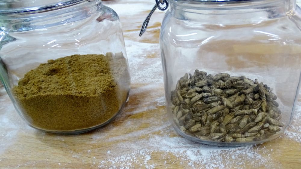 Flour ground from dried crickets and crickets in jars, for the first mass-delivered bread made of insects, are seen at the Finnish food company Fazer bakery in Helsinki, Finland on Nov. 23, 2017. (Photo: Reuters/Attila Cser)
