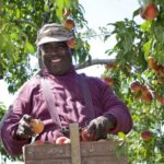 (HortCouncil.ca)