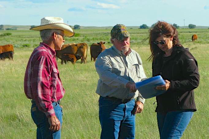 Where Food Comes From (WFCF) is now the second auditing body for the Canadian Beef Sustainability Acceleration (CBSA) pilot. (WhereFoodComesFrom.com)
