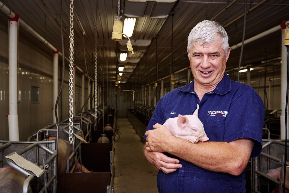 Clare Schlegel has used the swine health information systems developed in Ontario to help manage risk to his pig herd.