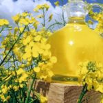 (Photo courtesy Canola Council of Canada)