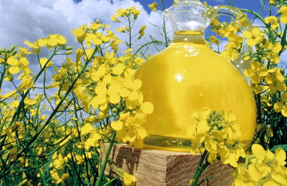(Photo courtesy Canola Council of Canada)
