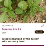 The xarvio app helps crop scouts and farmers identify weeds, crop diseases and insect damage.