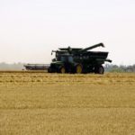 Ontario wheat harvest is almost complete, with later-harvested fields showing more quality issues than early fields.