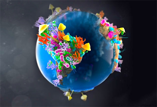 Global warfare between bacteria and fungi.