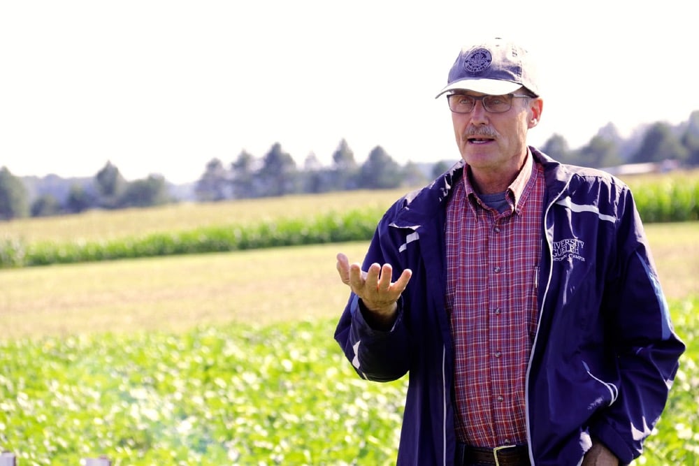 Peter Sikkema told edible bean growers that 2,4-D is a glyphosate-resistant Canada fleabane control option, if the treatment is registered.