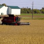 Farmers have been hard-pressed to find dry enough days to harvest soybeans in Ontario.