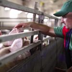 Diseases that evolve quickly can be frustrating for farmers trying to keep ahead of them.