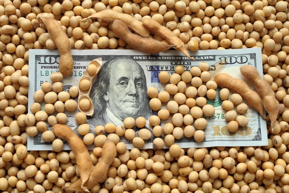 Spike in big U.S. farm loans may add risk to agricultural banks