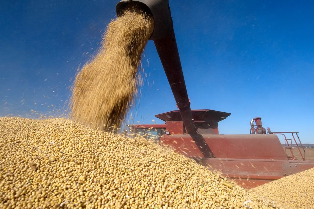 (Photo courtesy United Soybean Board)
