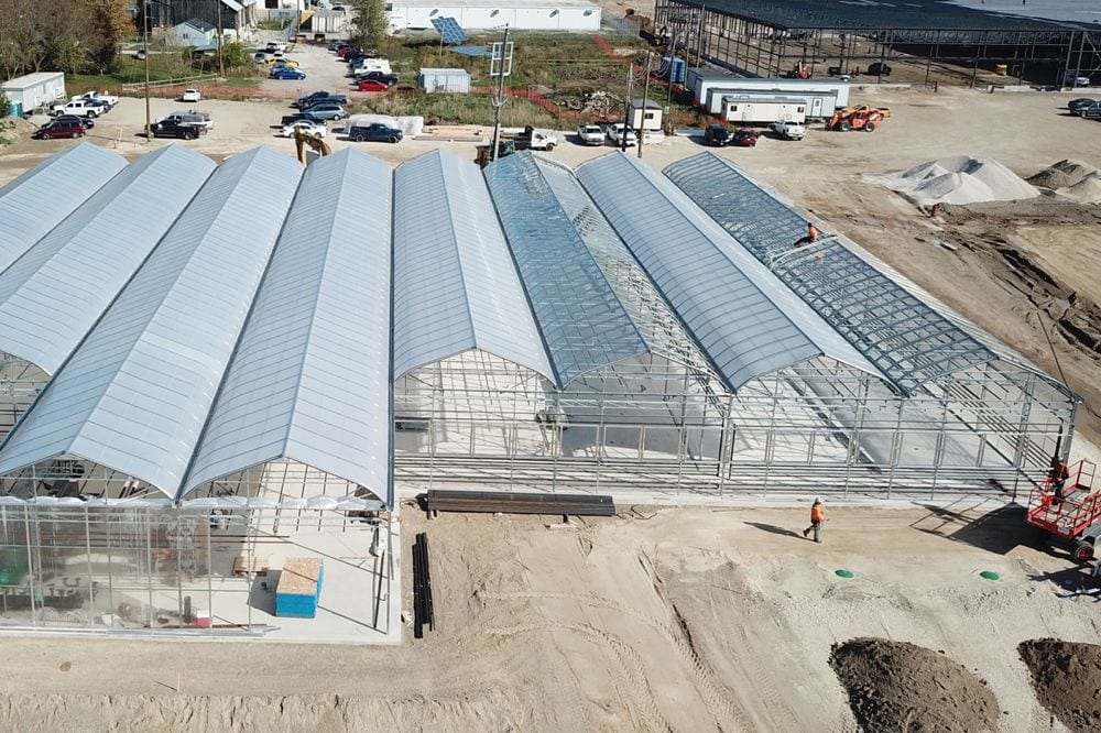 Greenhouse facilities under construction in Ontario for Peace Naturals, a Cronos Group subsidiary. (PeaceNaturals.com)
