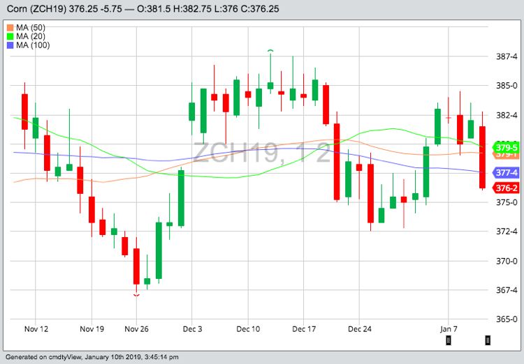 CBOT March 2019 corn futures with 20-, 50- and 100-day moving averages. (Barchart)
