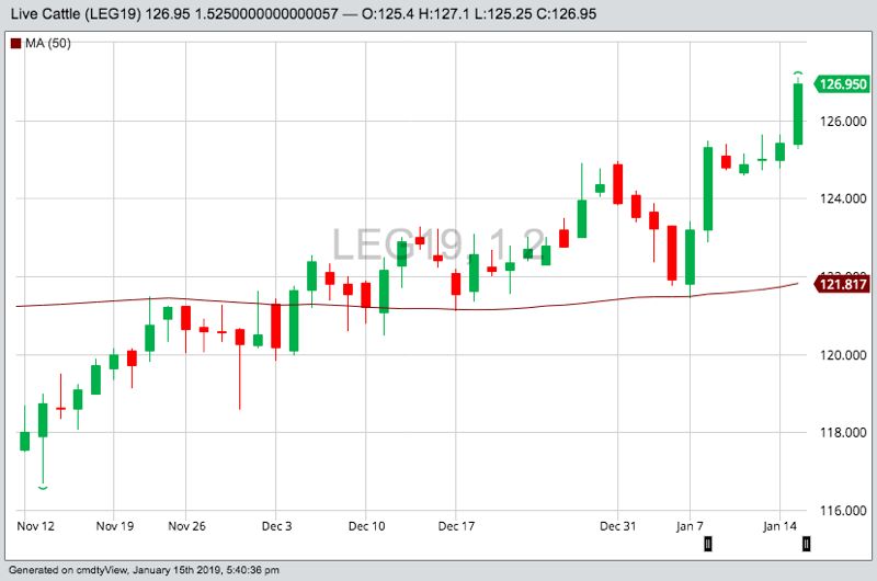 U.S. livestock: Live cattle hit contract highs on storm forecast