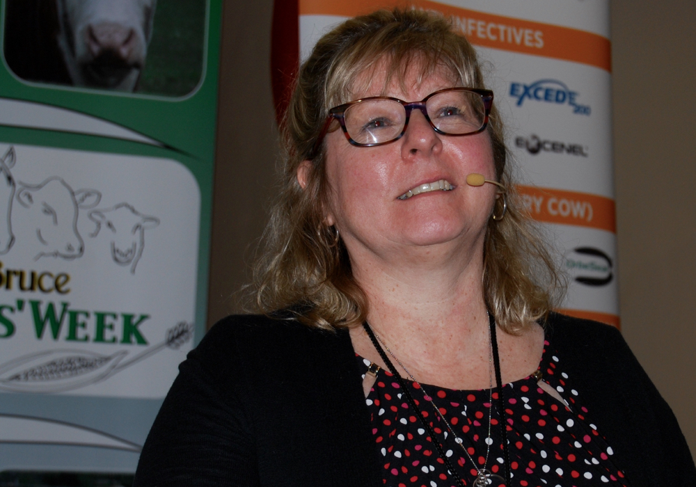 Dr. Karen Schwartzkopf-Genswein presented 15 years worth of research into transporting beef cattle at Grey-Bruce Farmers’ Week.