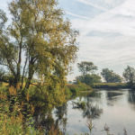 Greg Judy attempts to rejuvenate streams on the farms he rents and buys.