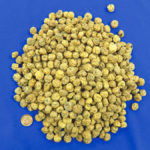 This is what the tiny tiger nut tubers look like after harvest.