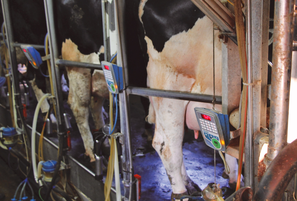 CanWest DHI will soon be uploading information directly from farms that have milking systems that collect it, instead of sending milk testers to every farm. 