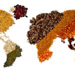 Given the food needs of a growing global population, food production strategies that don’t take biodiversity into account are a missed opportunity.