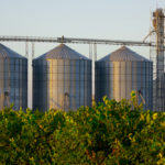 Corn carryover in Ontario is down because of strong export sales.