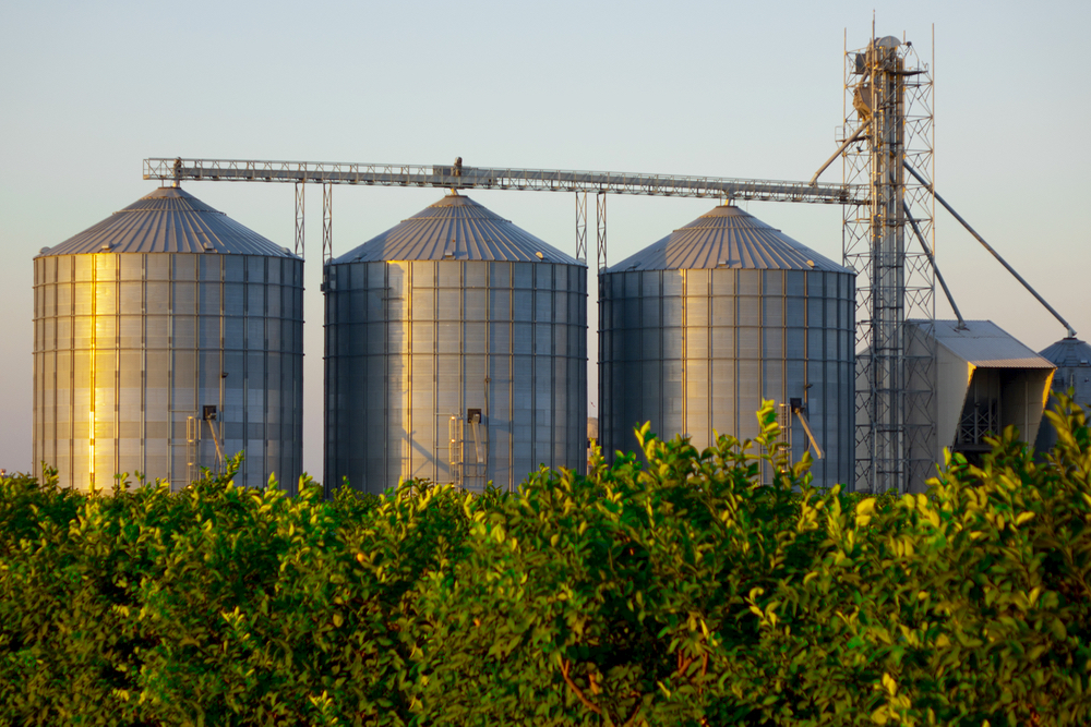 Corn carryover in Ontario is down because of strong export sales. 