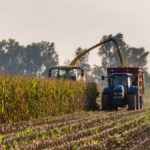 Attention to detail around harvesting is crucial to maintaining silage quality.