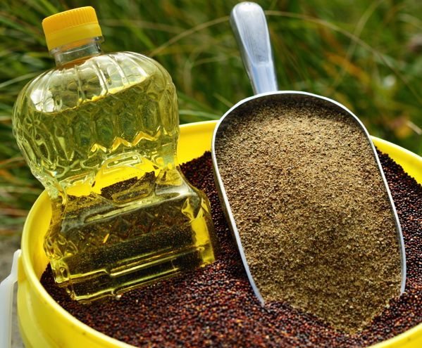 Canola seed, oil and meal. (Photo courtesy Canola Council of Canada)
