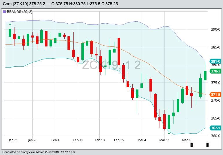 CBOT May 2019 corn with Bollinger (20,2) bands, a gauge of market volatility. (Barchart)
